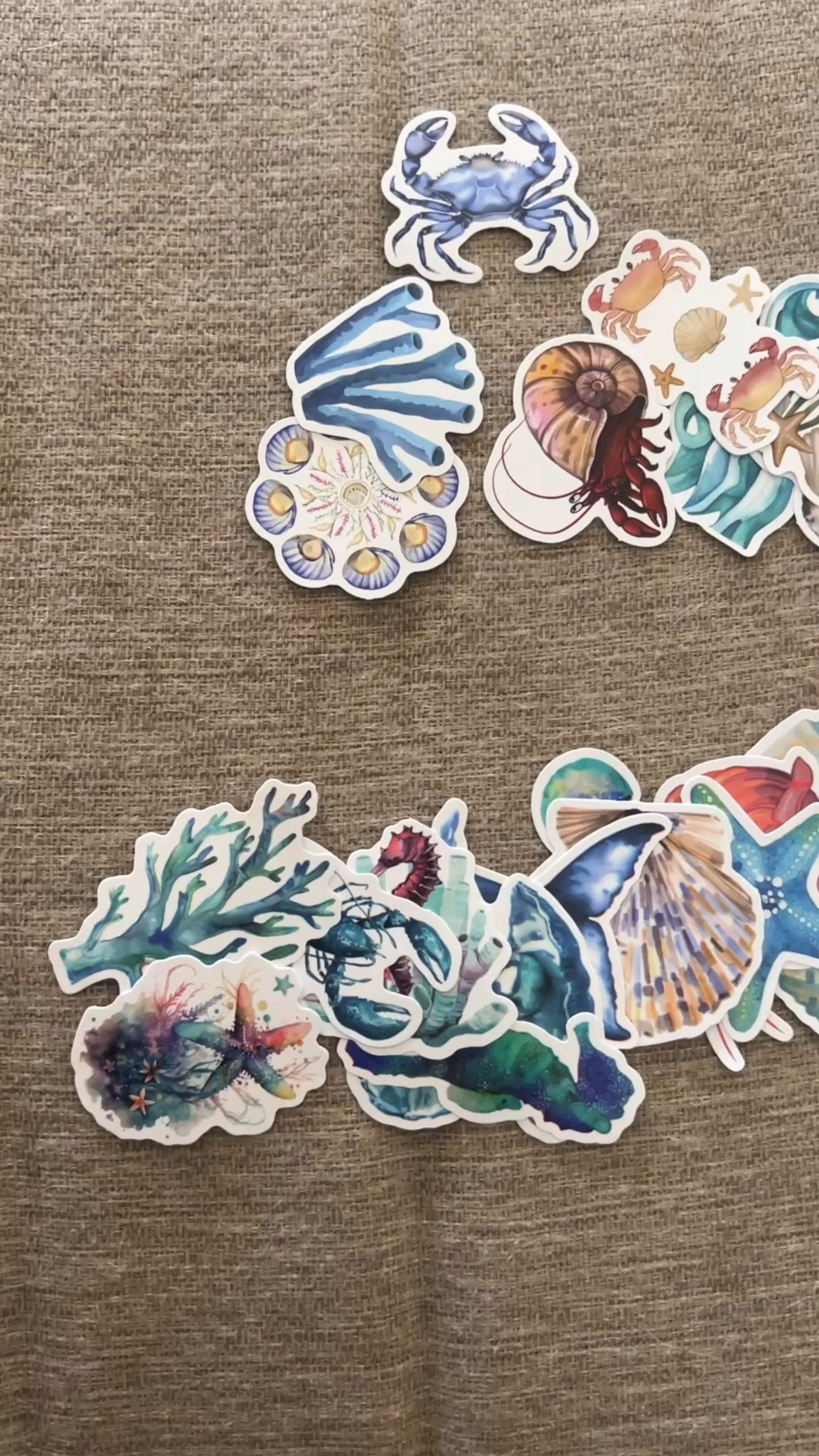 Cutest ocean stickers! Half are shiny and half are matte, no two are the same! 

#LTKGiftGuide #LTKFindsUnder50 #LTKKids