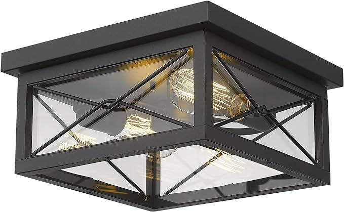 Emliviar 12 Inch Ceiling Light Fixture, 2-Light Flush Mount Ceiling Light in Black Finish, 0387B-... | Amazon (US)