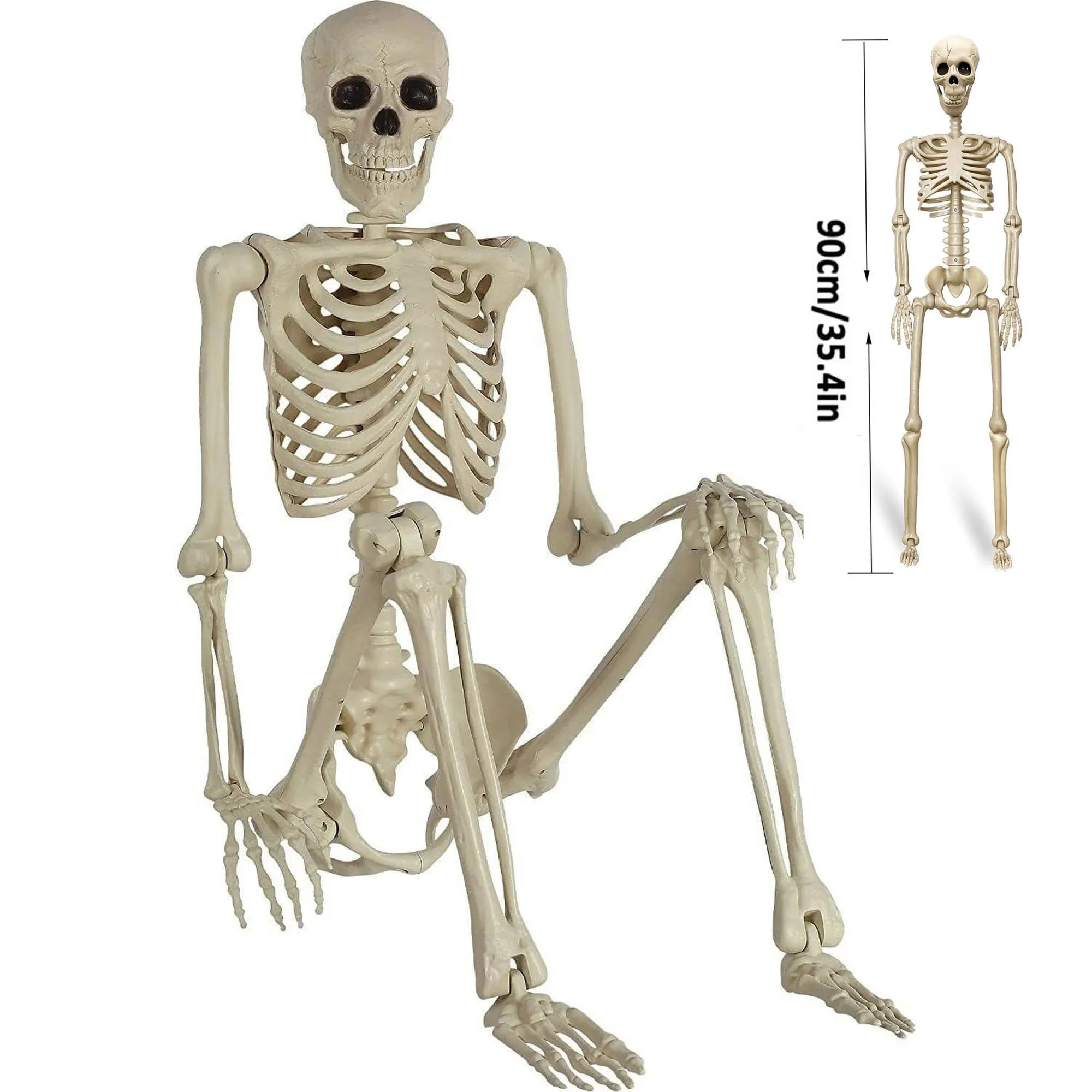 36"Halloween Skeleton Decoration- 3 ft Life Size Human Skeleton with Full Body Posable Joints for... | Walmart (US)