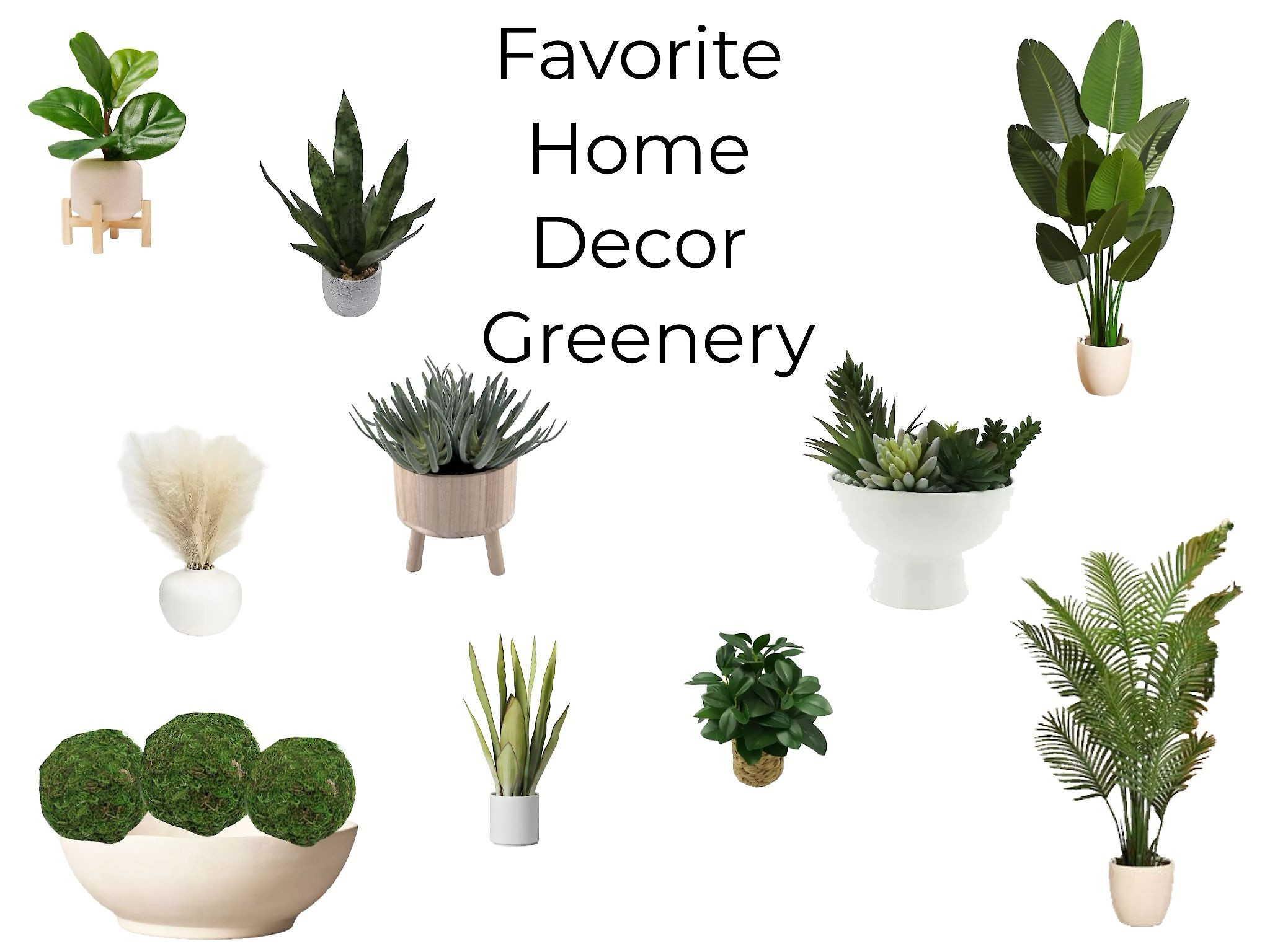 Handy Girl Decor favorite greenery to use for home decor 

#LTKHome #LTKStyleTip