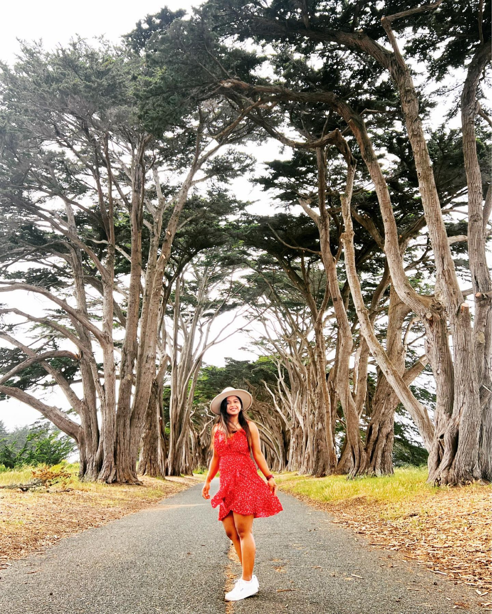 Feeling Majestic under canopy of enchanted Cypress Tree Tunnel 🌳

📌 Save this post for your next visit.

This tunnel of cypress trees was planted in 1930. Between the Point Reyes lighthouse and the visitor center, it is situated 45 miles north of Golden Gate Bridge. It is located on the right side of the road heading towards the lighthouse, hard to miss🤩
.
.
.
.
.
.
#california #cypresstreetunnel #californiaadventure #discoverearth #travelbucketlist #usaroadtrip #ootd #fashion #blogger #wanderlust #discovercalifornia #beautifulplaces #sheisnotlost #womenwanderes #travelgram #travelbinary #viaadventure #instalike #instagood #follow #explorepage #bhfyp #bayareamodel #igers #followers #followme #travel #womentravel

#LTKTravel #LTKBeauty #LTKFallSale