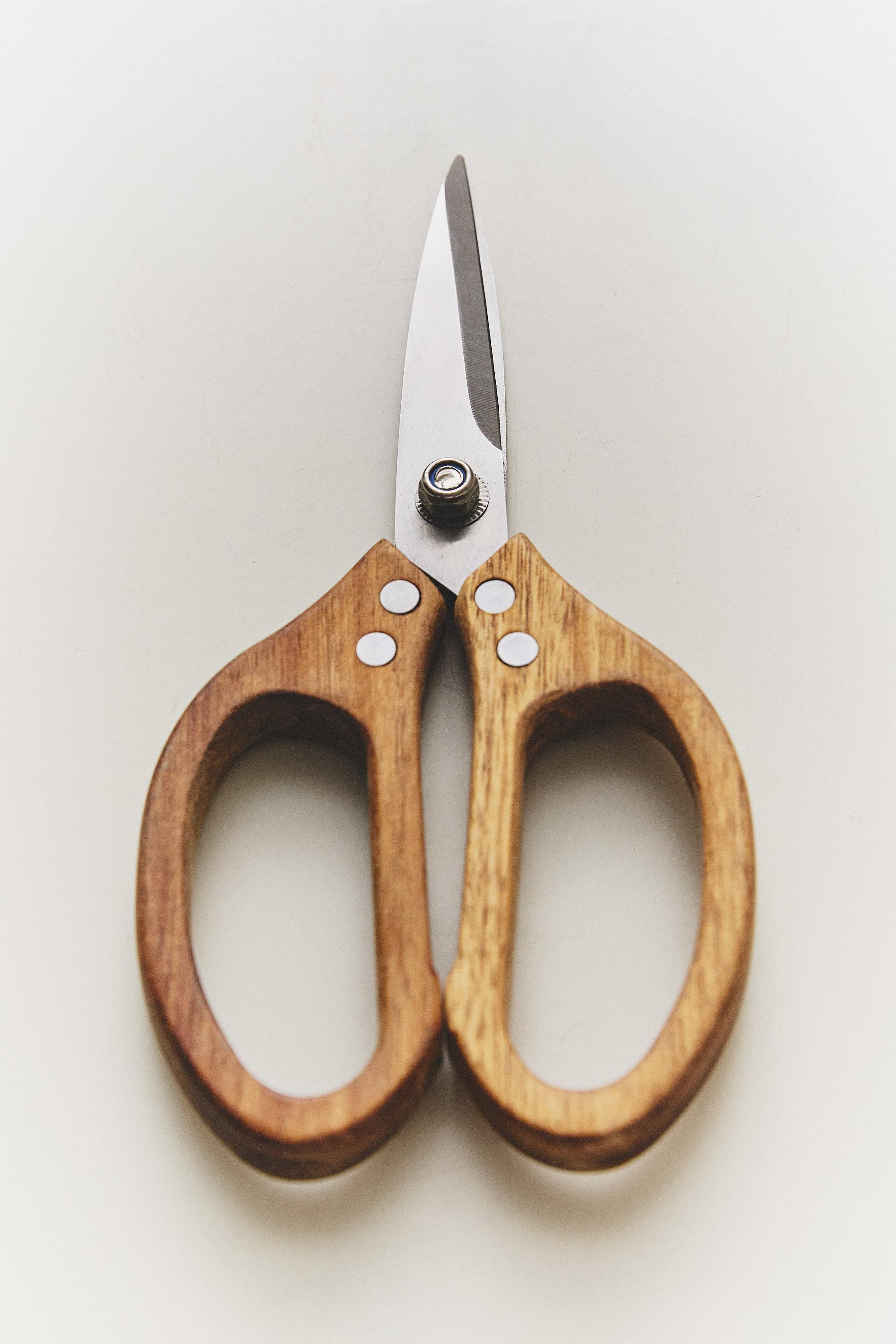 KITCHEN SCISSORS WITH WOODEN HANDLES | Zara US