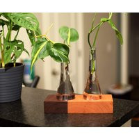 Cherry & Walnut Hardwood Plant Propagation Station With Glass Vases. Succulent Growing Planter. Wate | Etsy (US)