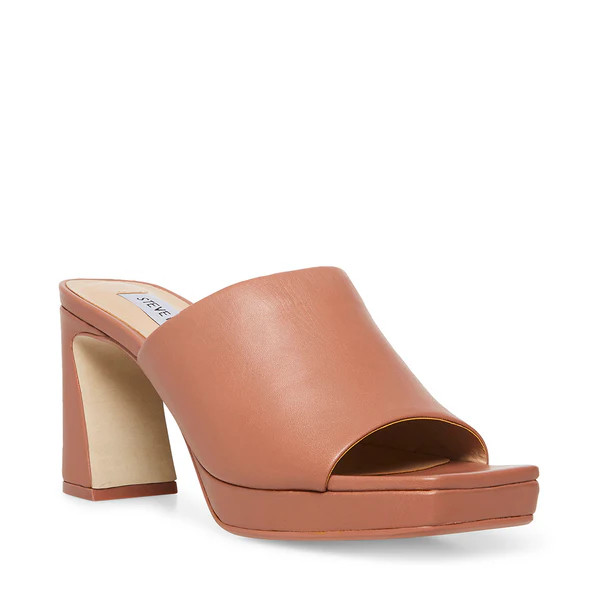 DEDICATE BLUSH LEATHER | Steve Madden (US)