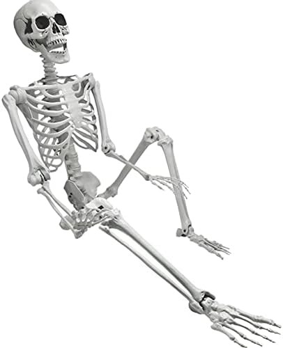 Amazon.com: 5.4ft Halloween Skeleton, Life Size Realistic Human Skeleton Halloween Decoration, Fu... | Amazon (US)