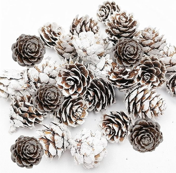 160 PCS Mini Snow Pine Cones Christmas Pine Cones Thanksgiving Pine Cones Bulk White Christmas Sm... | Amazon (US)