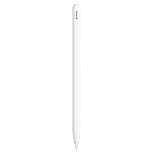 Apple Pencil for iPad (2nd generation) Bluetooth -White (Renewed) | Amazon (US)
