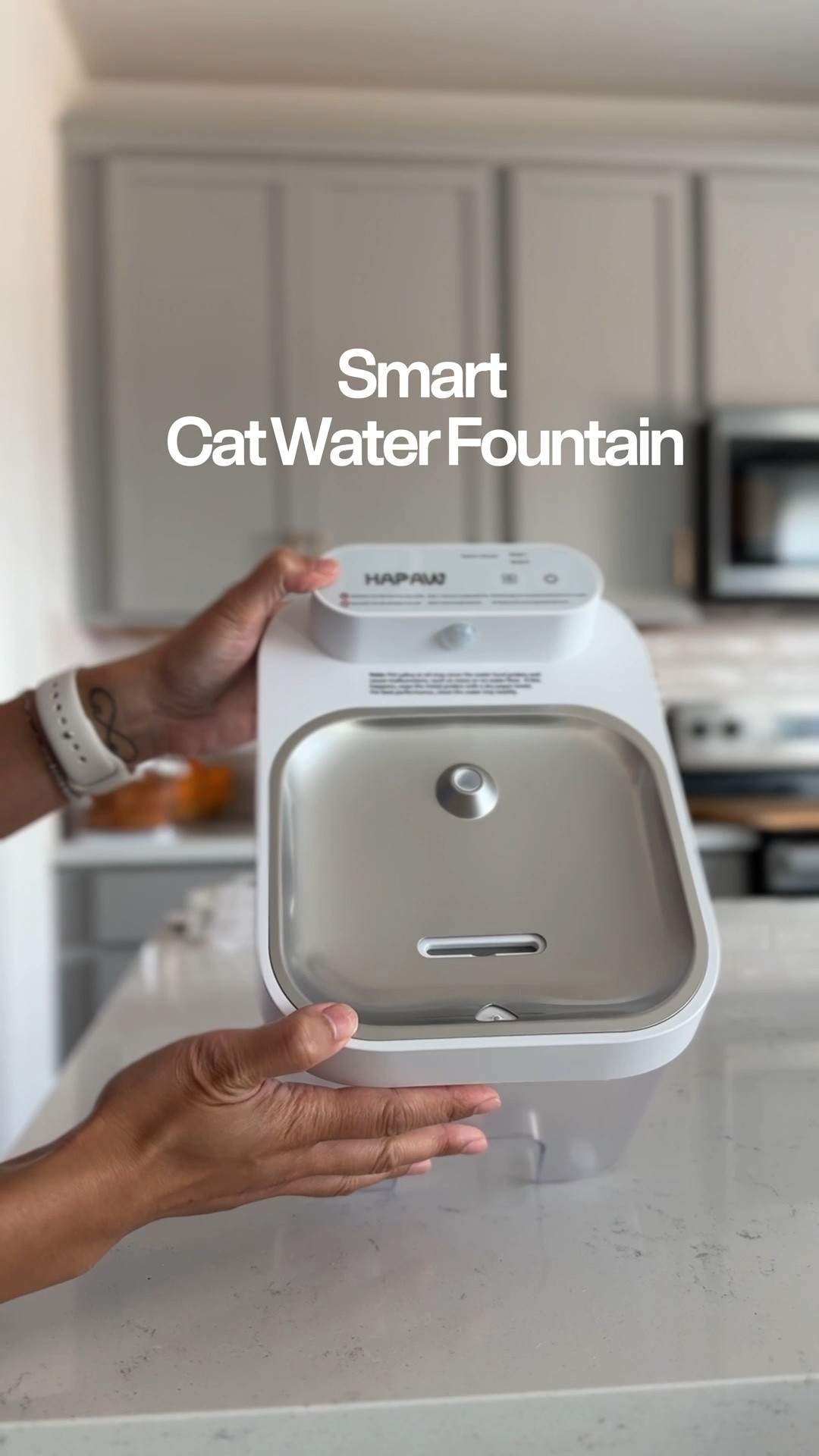 My cat drinks more water because of this fountain!