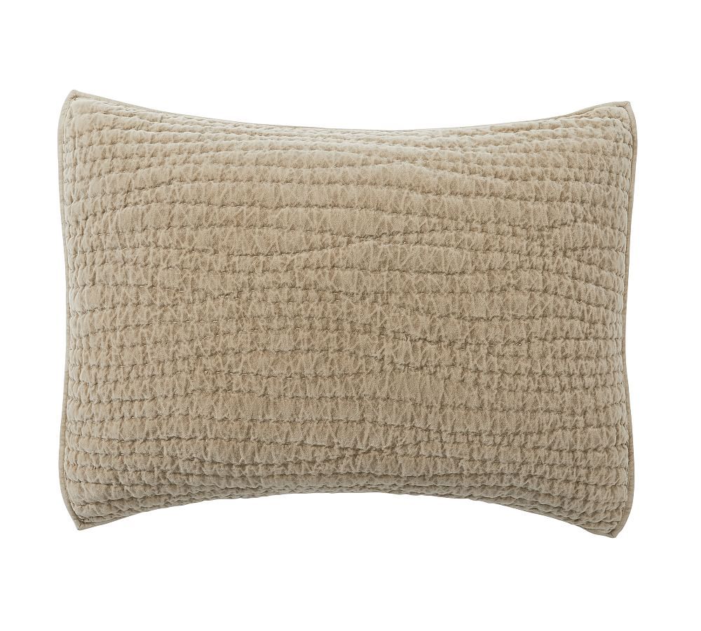 Washed Velvet Handcrafted Quilted Sham | Pottery Barn (US)