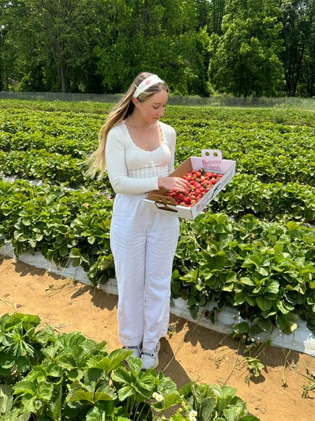 Strawberry picking fit🍓 Linen pants are Abercrombie (wearing size small, fits TTS/slightly looser). Top is Aritzia. For reference I am 5’4”, 26” waist, 39” hip.#LTKfit #LTKunder100

#LTKstyletip