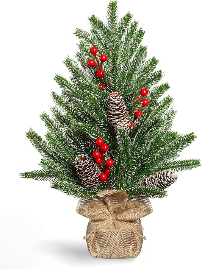 Tabletop Christmas Tree 19 Inch Artificial Mini Christmas Tree Non-Lit Snowy Small Christmas Tree... | Amazon (US)