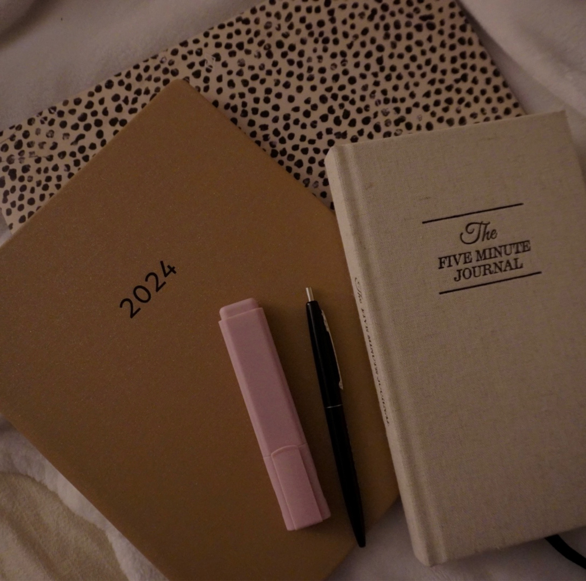 2024 necessities 🥰

#LTKfindsunder50 #LTKhome