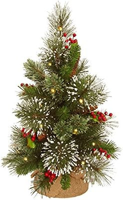 National Tree 18 Inch Wintry Pine Tree with Cones, Red Berries, Snowflakes and 15 Warm White Batt... | Amazon (US)
