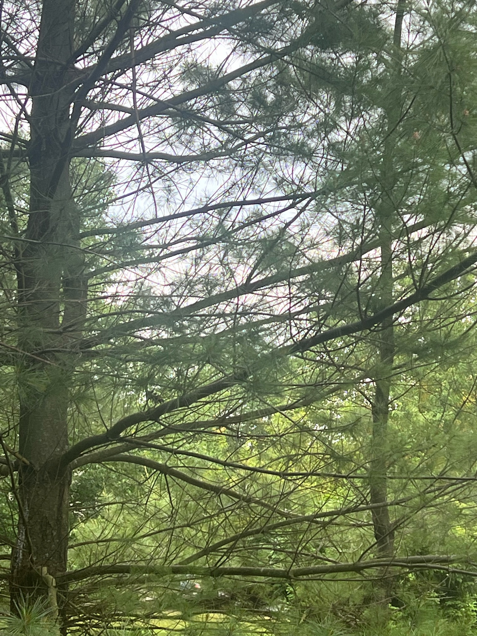 #LTKSeasonal #LTKAsia