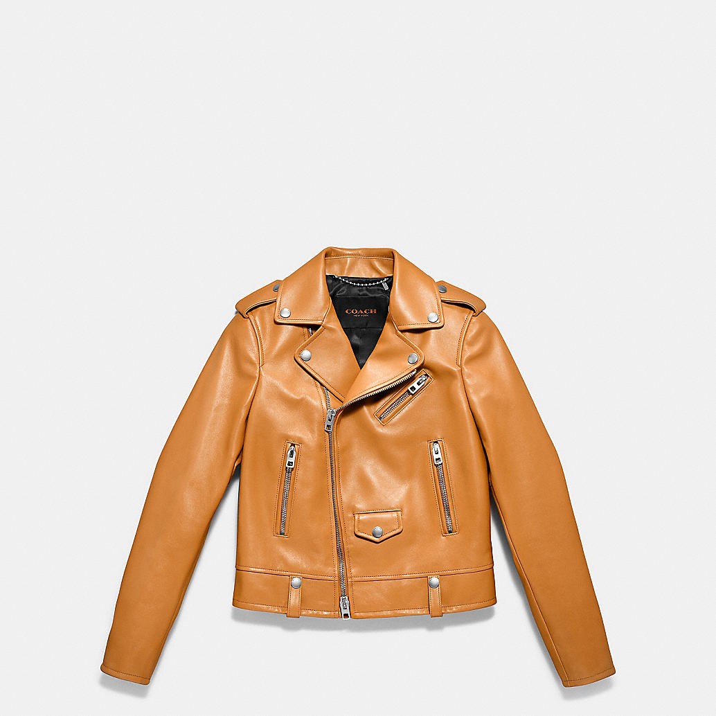 Fashion Icon Moto Jacket | Coach (US)