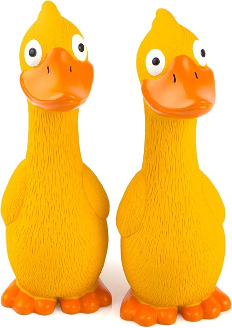 CHIWAVA 2 Pack 7.9 Inch Squeak Latex Dog Toy Yellow Duck Interactive Play for Small Medium Dogs | Amazon (US)