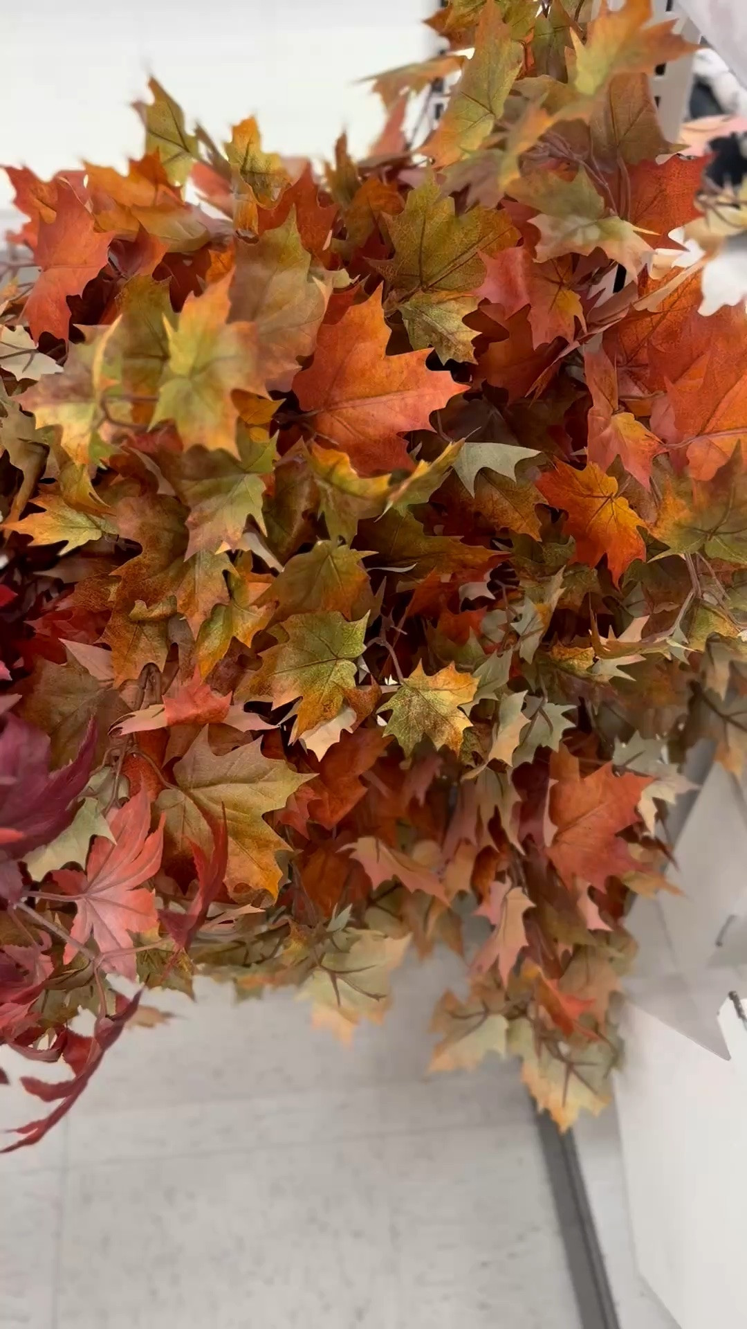 These maple leaf stems are so pretty and only $10!