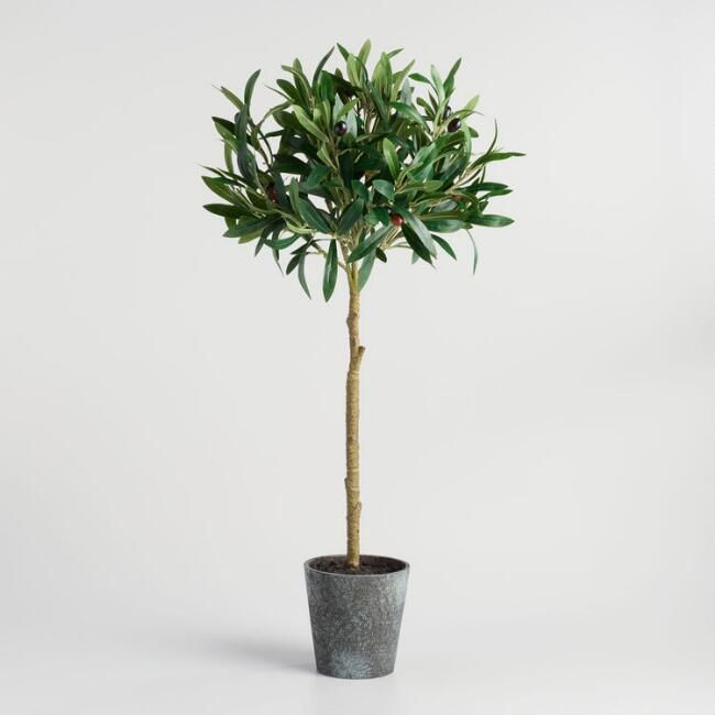 Faux Olive Topiary Tree | World Market