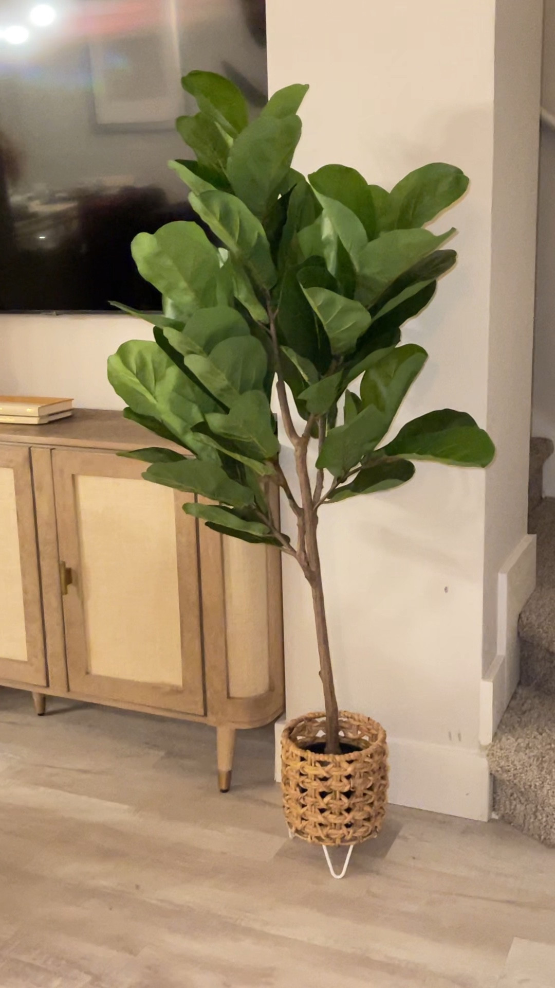 Fícus lidará fake plant 🤍 from #amazon

#LTKFind #LTKhome