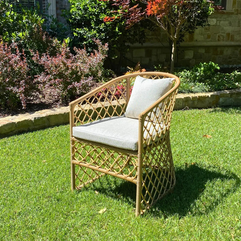 Bayou Breeze Mckinzie Rattan Patio Dining Armchair with Cushions | Wayfair | Wayfair North America
