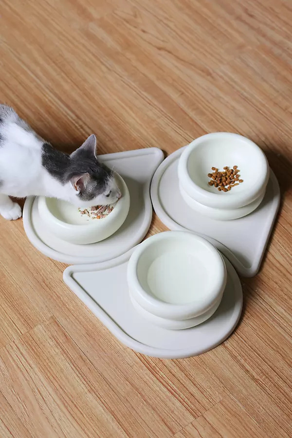 Home Cat Halo Bowl | Anthropologie (US)