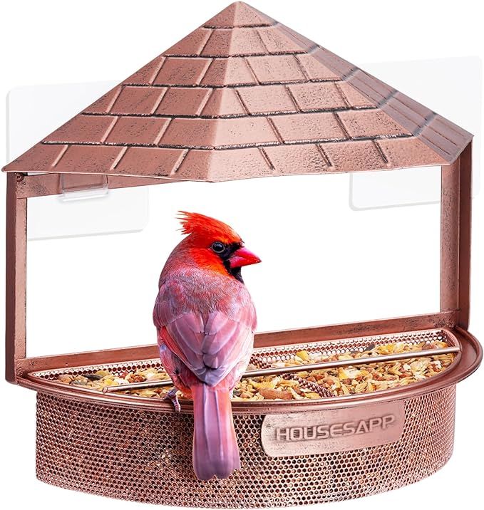 Window Bird Feeder - Metal Window Bird Feeder for Outside, Window Bird Feeders with Strong Suctio... | Amazon (US)