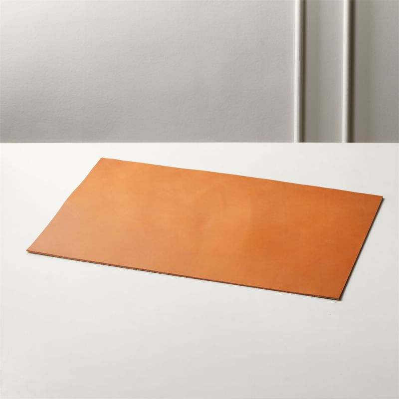 Rein Saddle Leather Desk Blotter + Reviews | CB2 | CB2