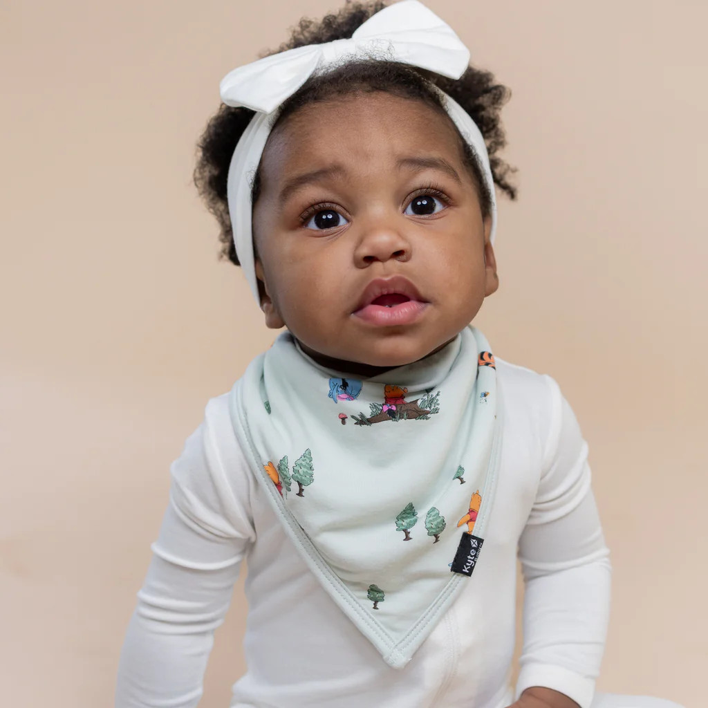 Bib in Winnie the Pooh Hundred Acre Wood | Kyte Baby