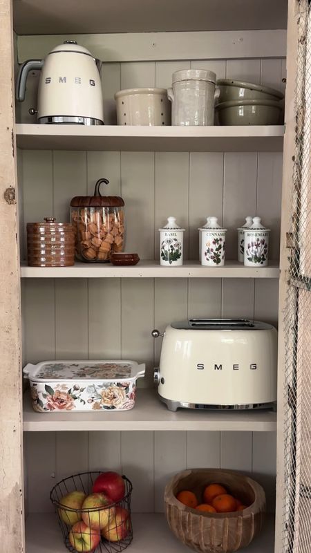 Gave this antique cabinet a makeover and I’m OBSESSED! It added so much character to the kitchen. I cut chicken wire to the size of the cabinet front opening and painted it cream to be cohesive with the frame. I also added some tongue and groove to the back since it didn’t have a back when I got it and painted the whole interior to match. What do you think!? I love it sooo much. #antiquefind #diyproject 