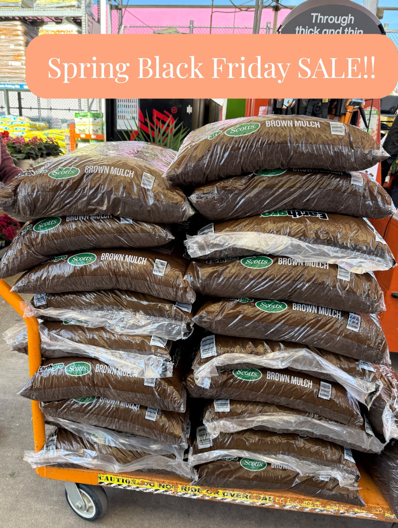 We just bought 20 bags of mulch for our rose garden at $2 a bag from Home Depot. 
#ltkhome 

#LTKSeasonal #LTKSaleAlert #LTKdayinmylife