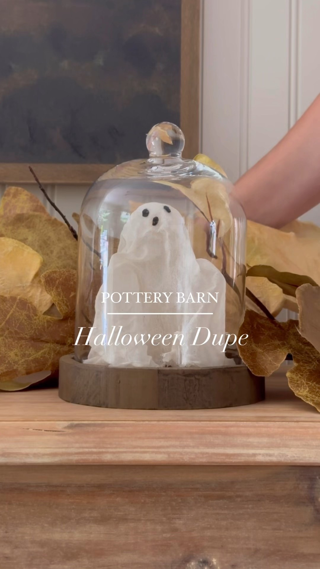 My version of Pottery Barn’s ghost in a cloche. So easy to make and much less expensive.

#LTKFindsUnder50 #LTKSeasonal #LTKHome