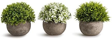 OPPS Artificial Plastic Mini Plants Unique Fake Fresh Green Grass Flower in Gray Pot for Home Dé... | Amazon (US)