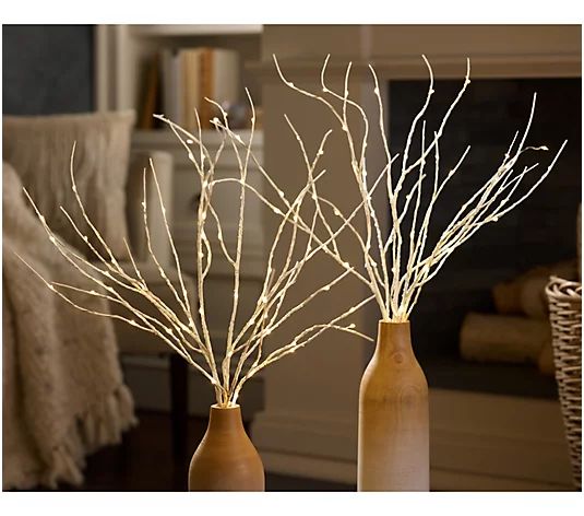 Bethlehem Lights 36" Decorative Branches with Color Flip LEDs - QVC.com | QVC