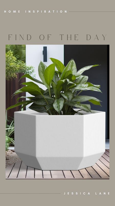 Home decor find of the day, this new release outdoor planter from Kante is so beautiful, comes in a few different sizes and color options. Amazon home, Amazon decor, outdoor decor, outdoor planter, Modern planter, kante planters

#LTKHome #LTKSeasonal #LTKStyleTip