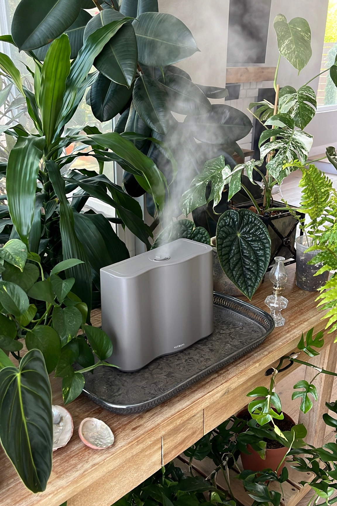 I’m giving my skin and plants an extra boost of hydration with the most beautiful humidifier I’ve ever seen! It’s the award-winning Cloud Humidifier from @vitruvi 

It’s easy to use and can humidify up to 24hrs. It’s also whisper quiet and it’s sleek design makes it a beautiful addition to the decor of any home.

Not only is running a humidifier good for the heath of your houseplants, it’s also beneficial for you as well! A little humidity is good for your lungs, skin, hair, and immunity. 

The ideal indoor humidity level is around 30 to 50 percent and can be measured using a simple hydrometer. 

#LTKHome