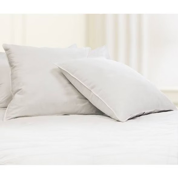 Feather Filled Euro Square Pillow White 2pk - Blue Ridge Home Fashions | Target