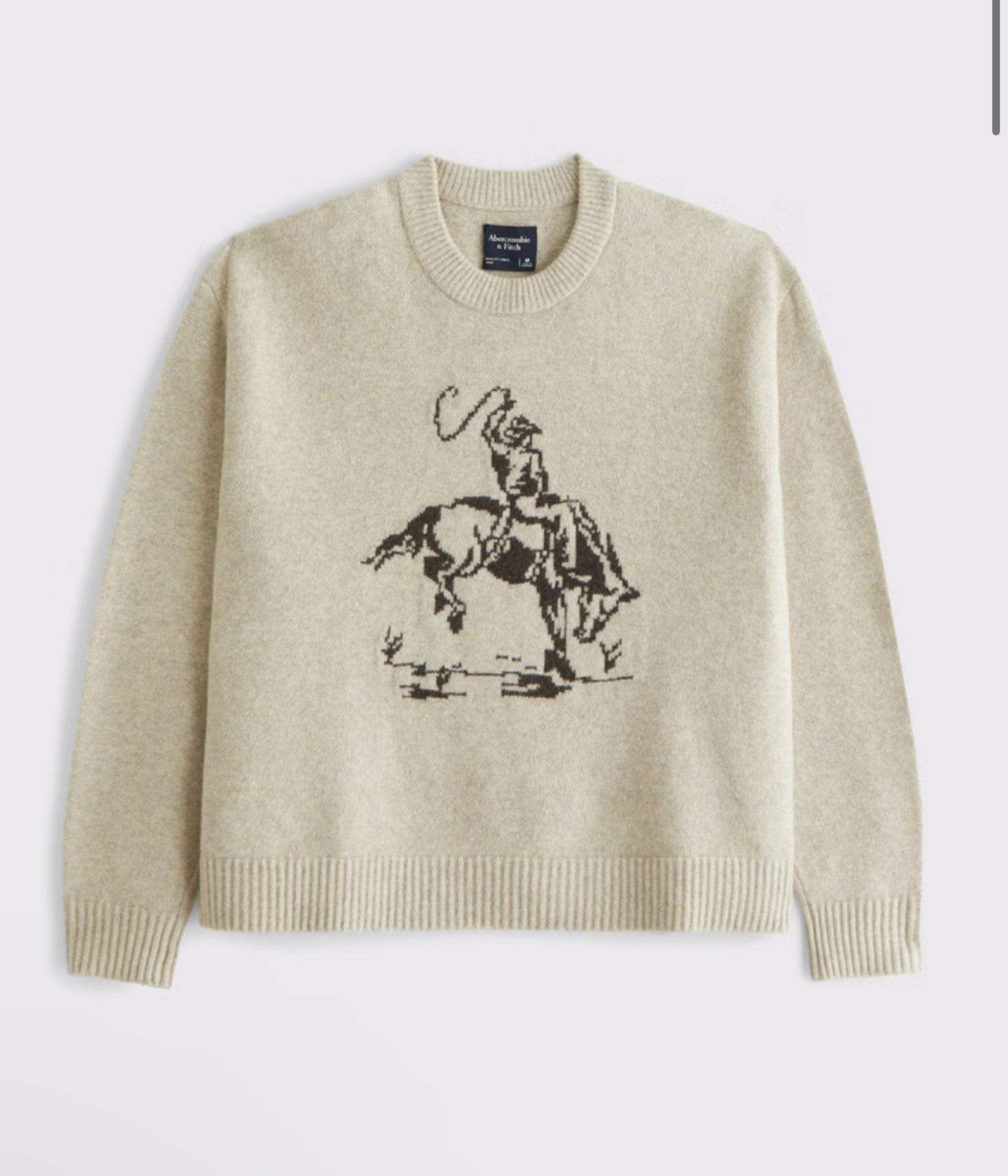 Viral Ceewneck 

#LTKStyleTip #LTKFindsUnder100 #LTKSeasonal