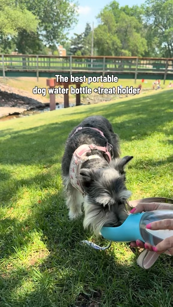 Got this for Gracie and Lyla May and they LOVE it! 

This bottle doubles as a food/treat holder, water and snacks covered in one hand. 

She loves taking it on walks/hikes and in the car! 

Linking ⬇️

#LTKdayinmylife #LTKActive #LTKTravel