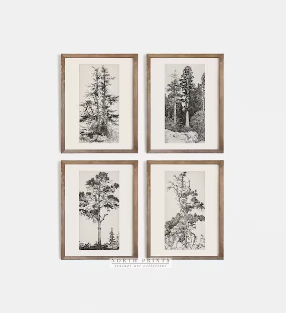 Vintage Gallery Wall Print Set | Tree Sketches Etching Print | Digital PRINTABLE | S4-5 | Etsy (US)