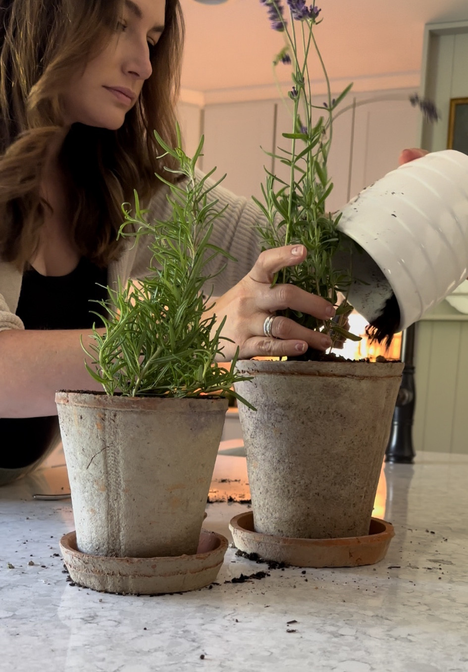 Terracotta pots, these are my favorite! 

#LTKHome
