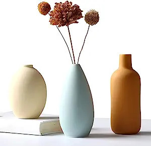 Abbittar Ceramic Vase Set of 3, Flower Vase Minimalism Style for Rustic Home Decor, Modern Farmho... | Amazon (US)