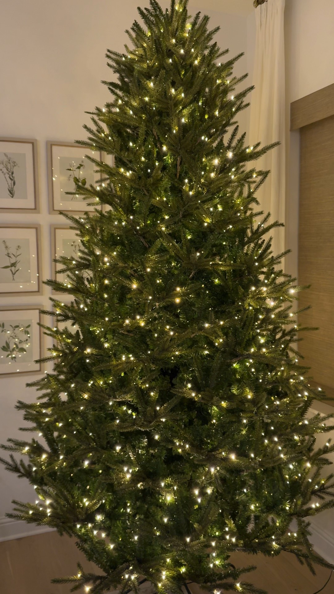 Sam’s Club tree! 🎄✨ Multiple settings, twinkle tree, duchess, clear or colored lighting, two sizes, on sale, Christmas tree, holiday decorating, viral tree. 

#LTKHoliday #LTKHome