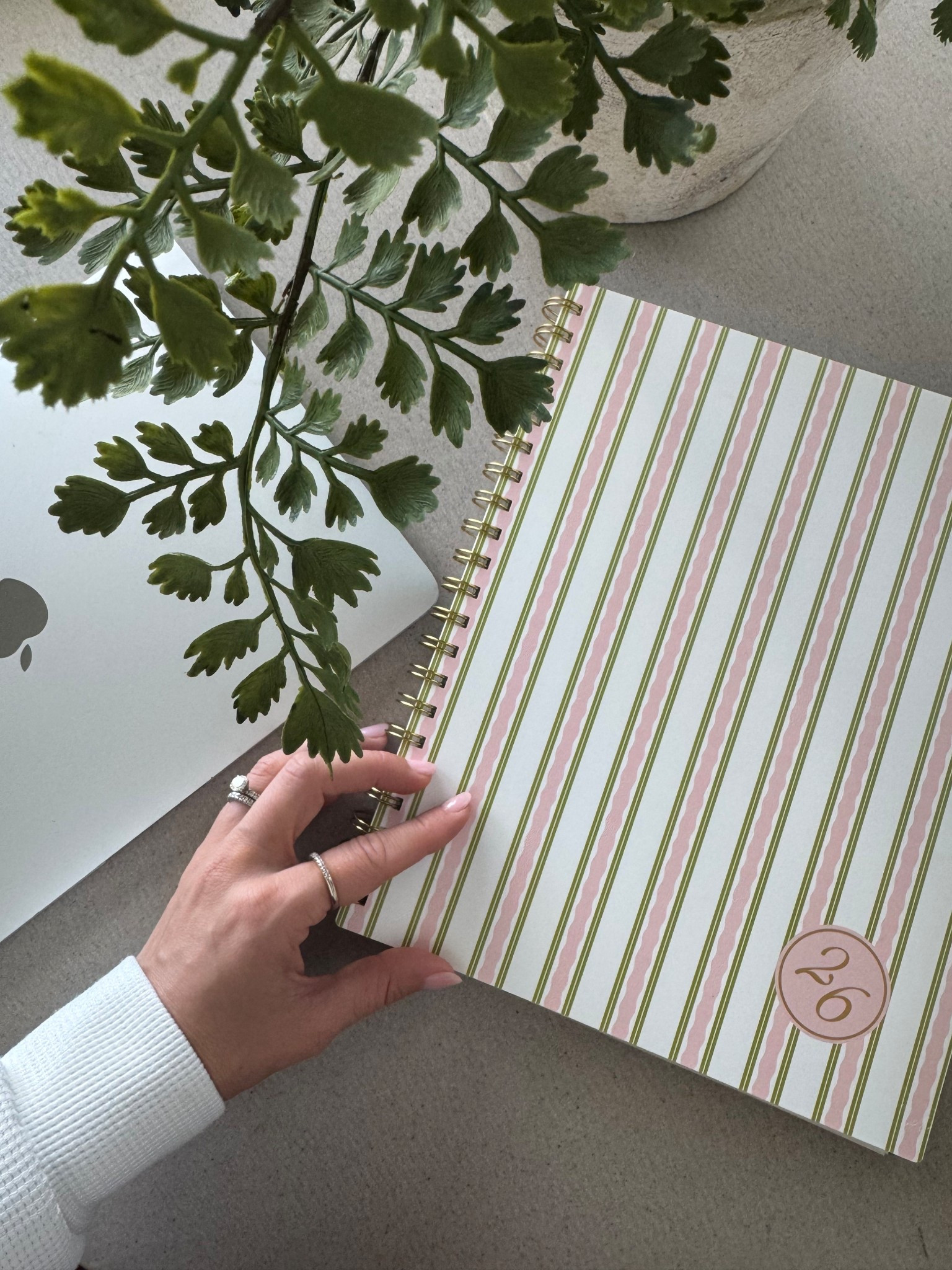 New stationary gets me every time. 😍