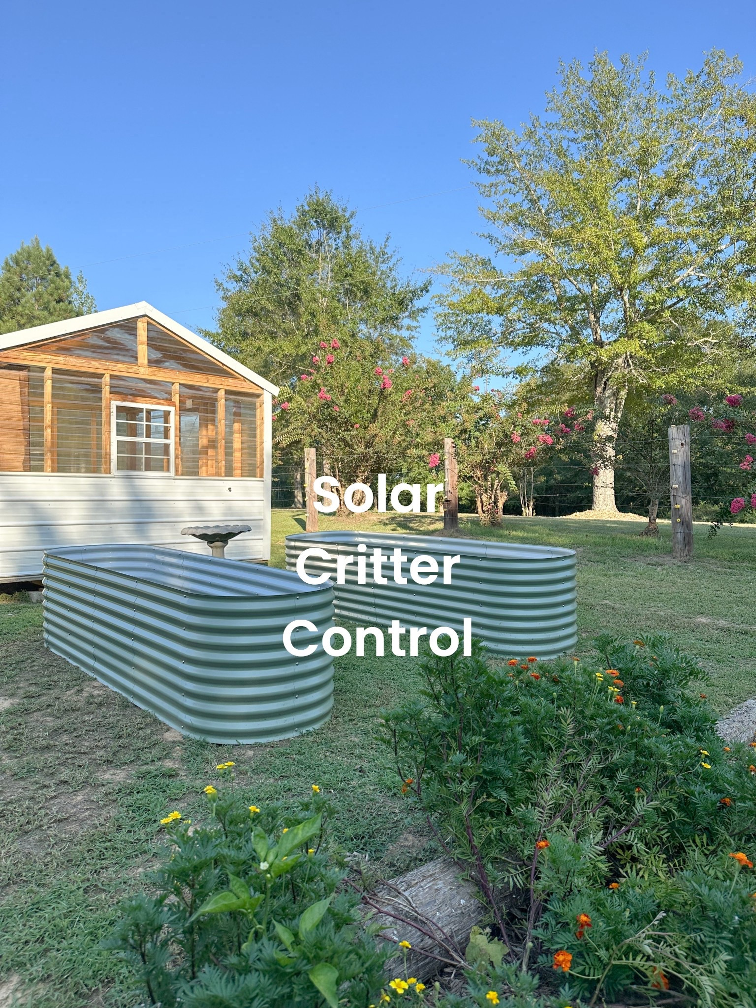 Solar sprinkler for gardens
Amazon garden ideas


#LTKSeasonal #LTKmomlife #LTKHome