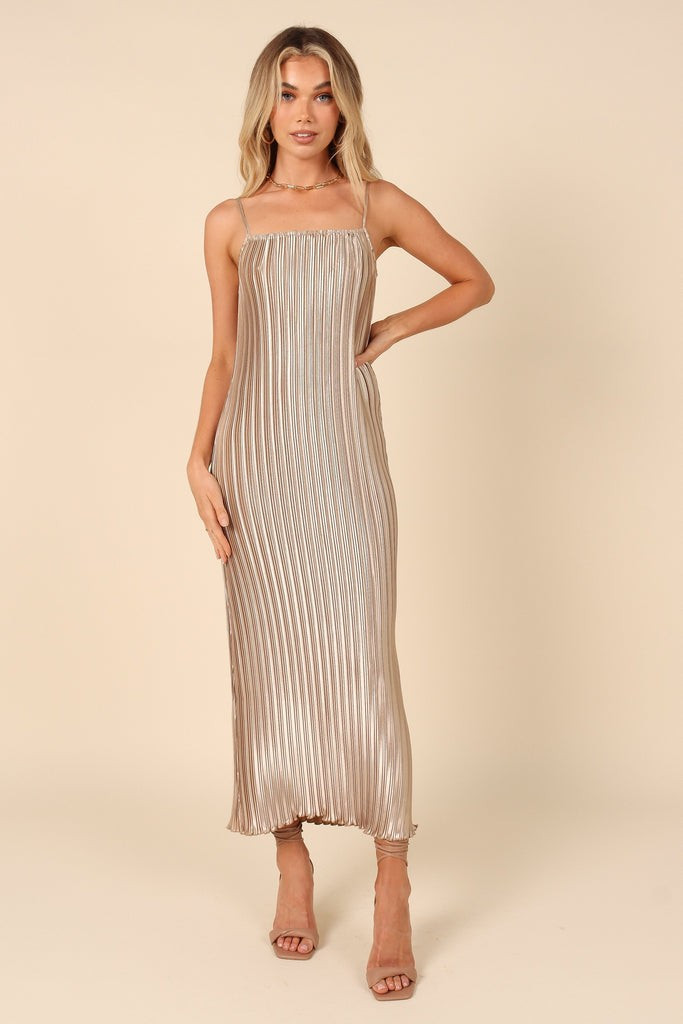 Liza Pleated Maxi Dress - Gold | Petal & Pup (US)