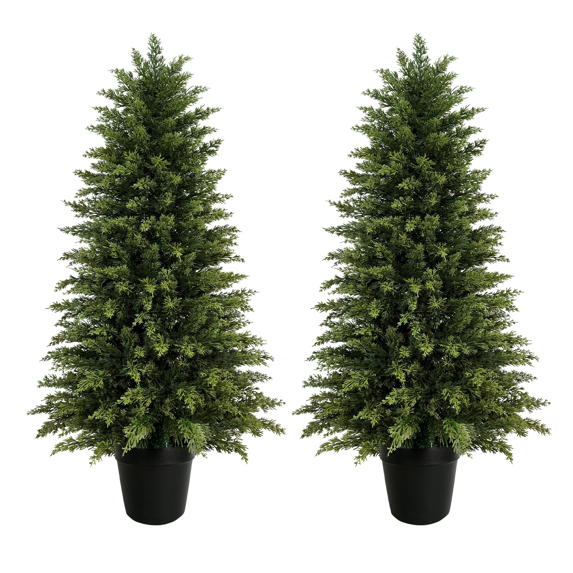 Mavis's Diary | Amazon (US)