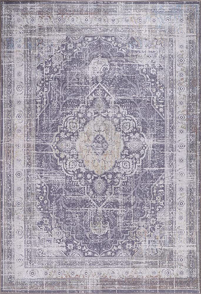 Adiva Rugs Machine Washable Area Rug for Living Room, Bedroom, Bathroom, Kitchen, Printed Persian... | Amazon (US)