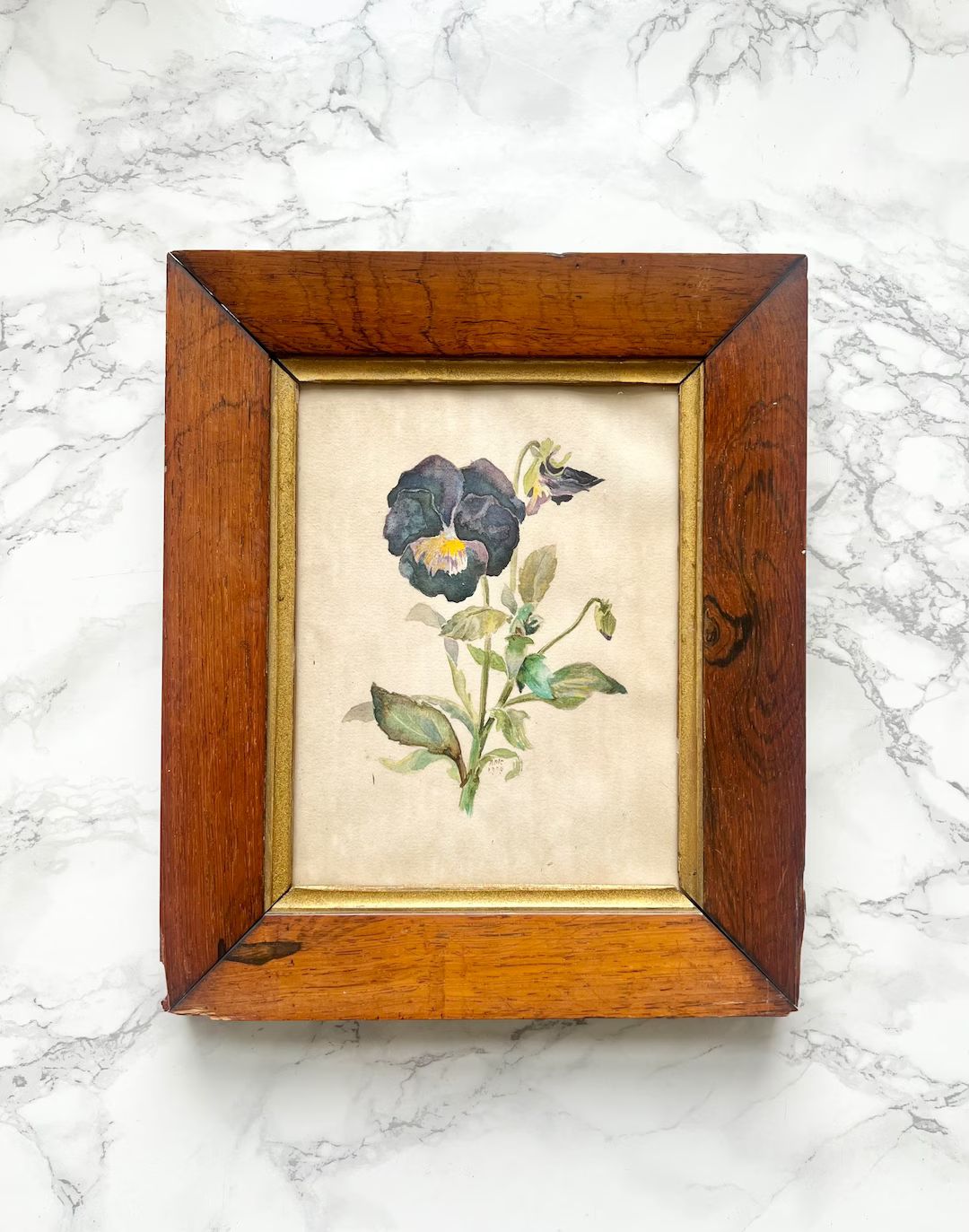 Antique victorian framed botanical watercolor study of a pansy flower original painting antique w... | Etsy (US)