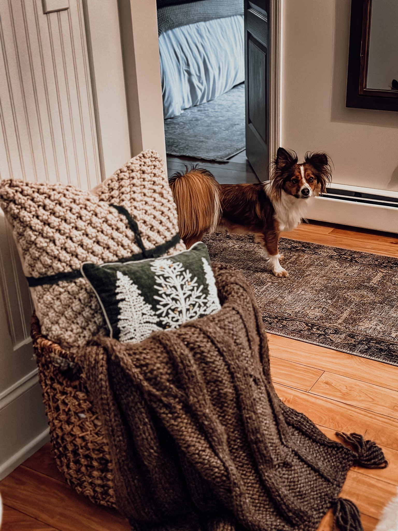 Cozy holiday decorating 

#LTKSeasonal #LTKHoliday #LTKHome