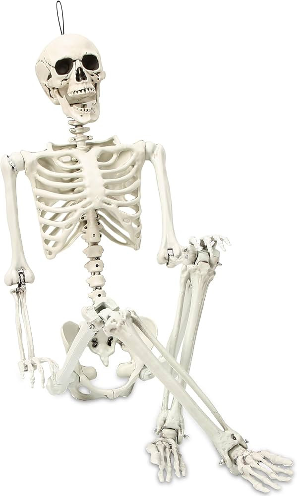 5.4 ft Posable Halloween Skeleton Decorations,Human Bones for Halloween Party with Movable Joints... | Amazon (US)